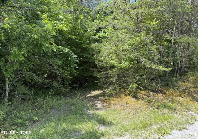 1st image of 0 Mountain Shores Rd, New Tazewell, TN 37825 | MLS# 1345152