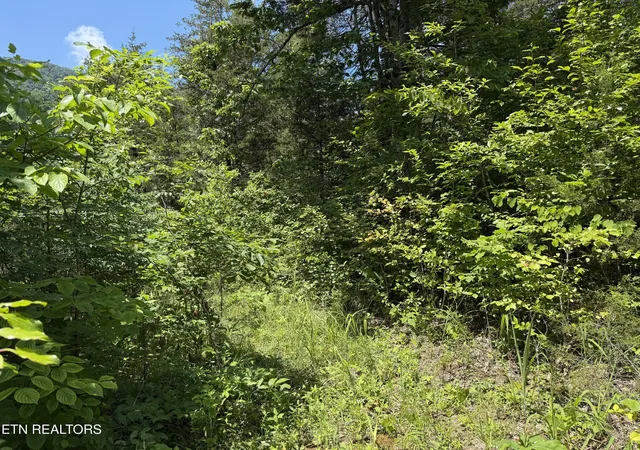 3rd image of 0 Mountain Shores Rd, New Tazewell, TN 37825 | MLS# 1345152