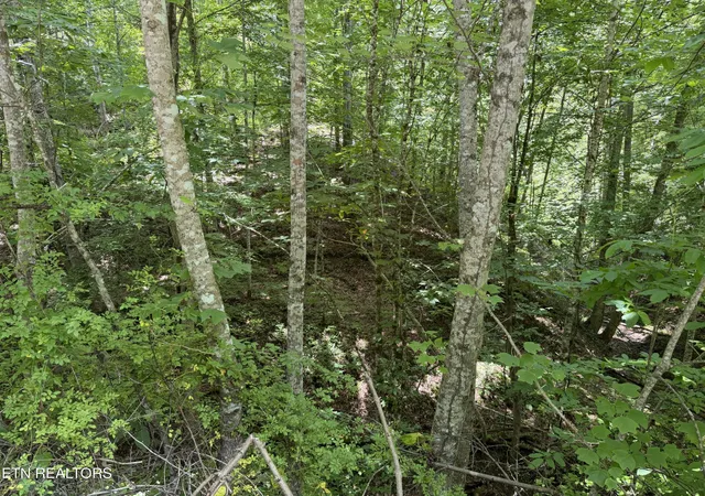 4th image of 0 Mountain Shores Rd, New Tazewell, TN 37825 | MLS# 1345152