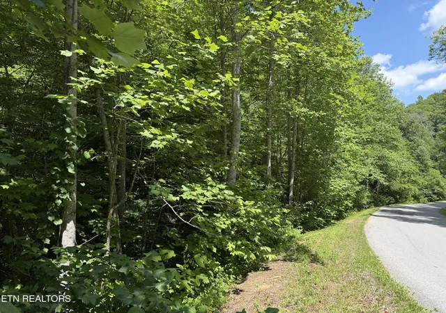 5th image of 0 Mountain Shores Rd, New Tazewell, TN 37825 | MLS# 1345152