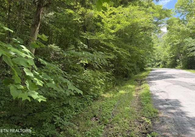 8th image of 0 Mountain Shores Rd, New Tazewell, TN 37825 | MLS# 1345152