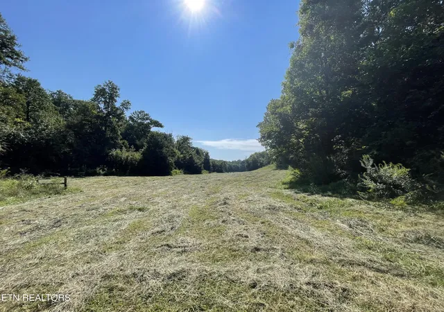 Photo 43 of Single family home for sale at 217 Keystown Rd, Luttrell, TN 37779 | MLS# 1345188 | Listing updated on 2026-08-30
