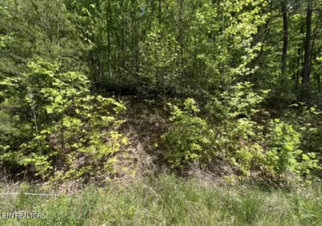 Photo 1 of Land for sale at Lot 50 Yellowwood Dr, Sevierville, TN 37876 | MLS# 1345235 | Listing updated on 2026-06-19