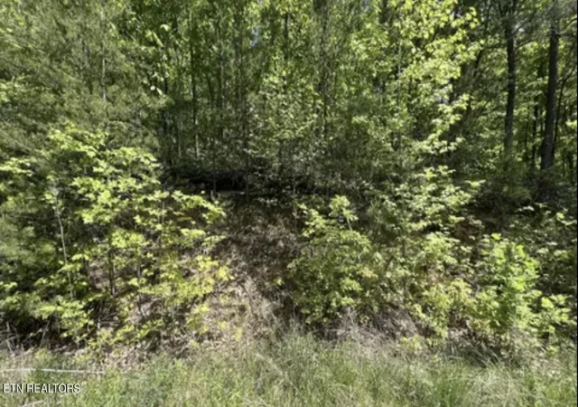 Homes for sale in Sevierville, TN | Lot 23 Green Meadows Dr, Sevierville, TN 37876 | MLS# 1345245