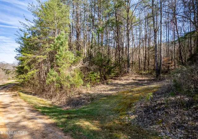 Homes for sale in Tellico Plains, TN | Welch Road Lot 4a, Tellico Plains, TN 37385 | MLS# 1345262