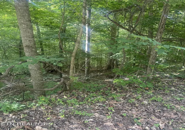 Homes for sale in Jacksboro, TN | Hiwassee View   Lot 56 Dr, Jacksboro, TN 37757 | MLS# 1345289