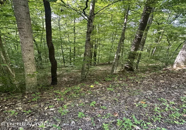 Homes for sale in Jacksboro, TN | Hiwassee View - Lot 56 Dr, Jacksboro, TN 37757 | MLS# 1345289