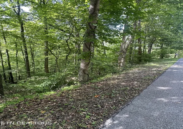 Homes for sale in Jacksboro, TN | Hiwassee View - Lot 56 Dr, Jacksboro, TN 37757 | MLS# 1345289