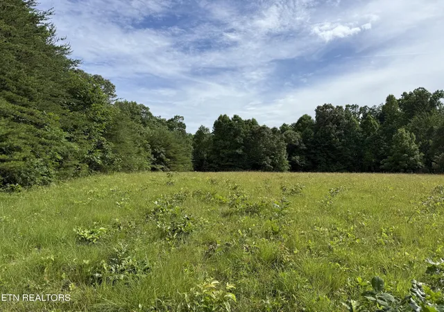 Photo 1 of Land for sale at Clear Crk Rd 41 Acres, Crossville, TN 38571 | MLS# 1345285 | Listing updated on 2026-06-19