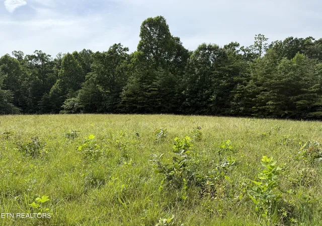 Photo 2 of Land for sale at Clear Crk Rd 41 Acres, Crossville, TN 38571 | MLS# 1345285 | Listing updated on 2026-06-19