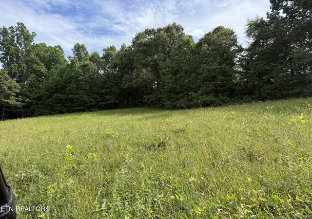 Photo 3 of Land for sale at Clear Crk Rd 41 Acres, Crossville, TN 38571 | MLS# 1345285 | Listing updated on 2026-06-19