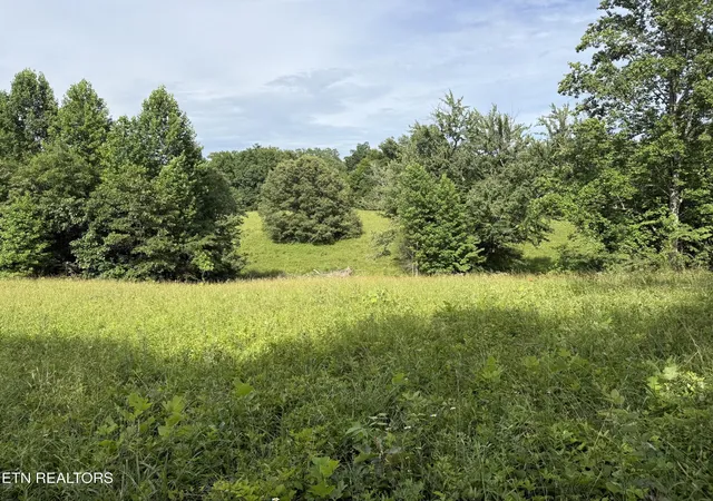 Photo 3 of Land for sale at Clear Crk Rd 41 Acres, Crossville, TN 38571 | MLS# 1345285 | Listing updated on 2026-06-19