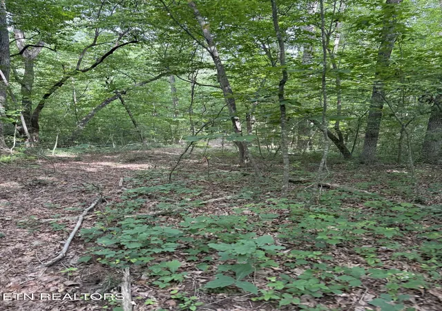 Photo 4 of Land for sale at Clear Crk Rd 41 Acres, Crossville, TN 38571 | MLS# 1345285 | Listing updated on 2026-06-19