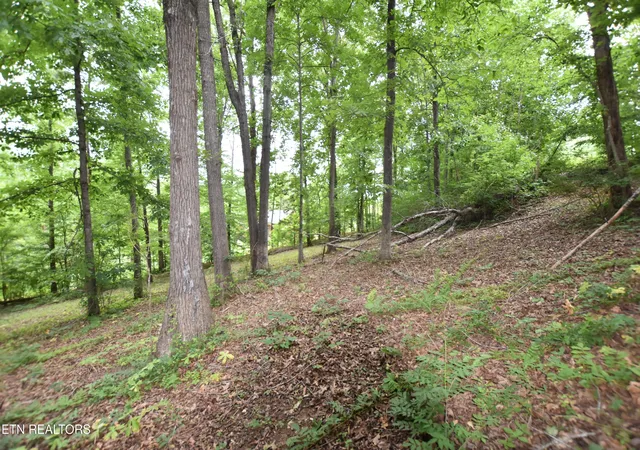3rd image of Grove Ln, Clinton, TN 37716 | MLS# 1345458