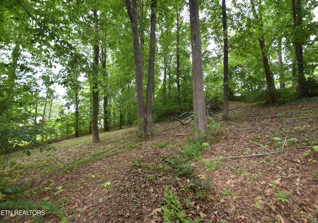 4th image of Grove Ln, Clinton, TN 37716 | MLS# 1345458