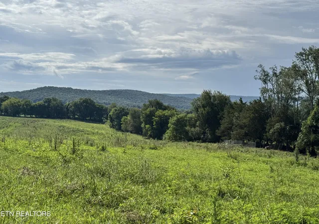 Photo 3 of Land for sale at Tbd Collier Ln, Rock Island, TN 38581 | MLS# 1347514 | Listing updated on 2026-09-26