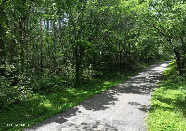 3rd image of 545 Ridge Rd Rd, Madisonville, TN 37354 | MLS# 1345481