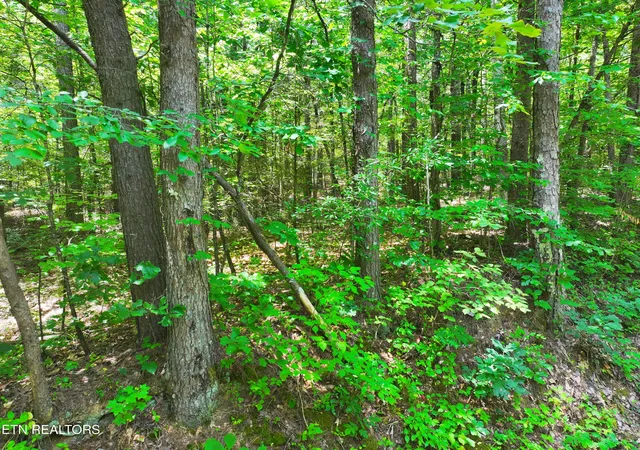 4th image of 545 Ridge Rd Rd, Madisonville, TN 37354 | MLS# 1345481