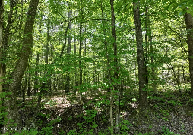 5th image of 545 Ridge Rd Rd, Madisonville, TN 37354 | MLS# 1345481