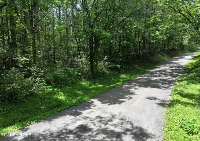 Homes for sale in Madisonville, TN | 545 Ridge Rd Rd, Madisonville, TN 37354 | MLS# 1345481