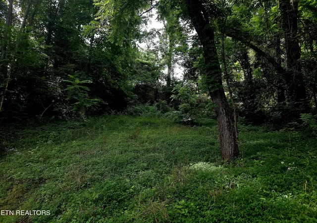 Homes for sale in La Follette, TN | 2074 Long Hollow Rd, La Follette, TN 37766 | MLS# 1345398