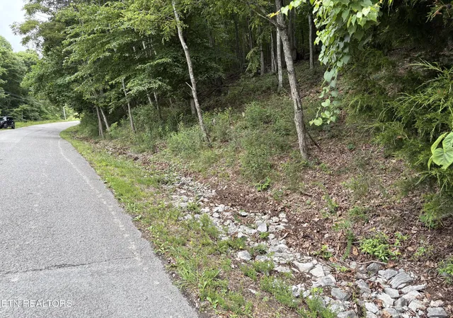 Homes for sale in New Tazewell, TN | Whistle Valley Rd #130, New Tazewell, TN 37825 | MLS# 1345346