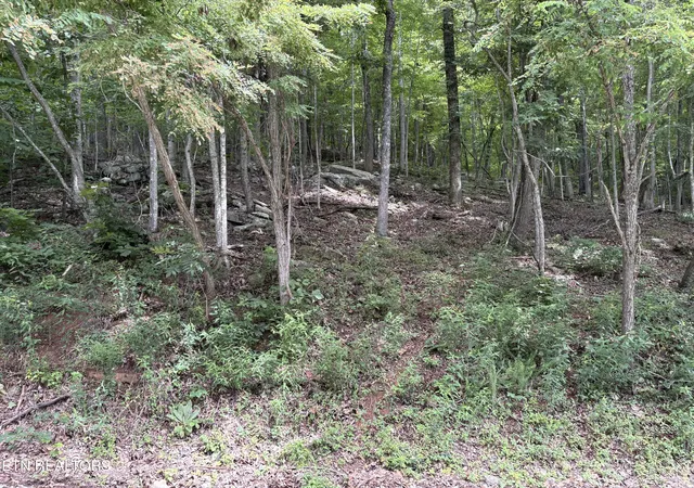 3rd image of Whistle Valley Rd #130, New Tazewell, TN 37825 | MLS# 1345346