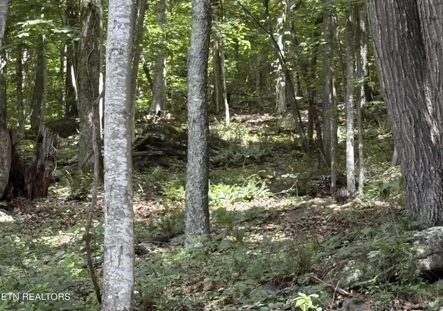 4th image of Whistle Valley Rd #130, New Tazewell, TN 37825 | MLS# 1345346