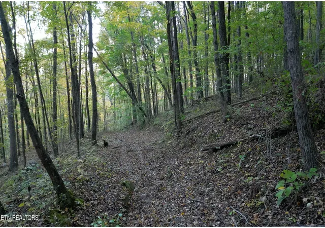 15th image of Tbd Turners Bend Rd, Mc Minnville, TN 37110 | MLS# 1345598