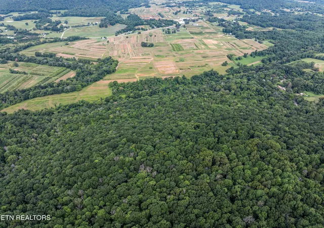 3rd image of Tbd Turners Bend Rd, Mc Minnville, TN 37110 | MLS# 1345598