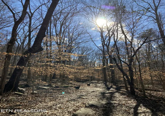 5th image of Tbd Turners Bend Rd, Mc Minnville, TN 37110 | MLS# 1345598