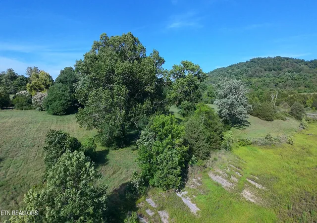 Homes for sale in Sharps Chapel, TN | Big Valley Rd, Sharps Chapel, TN 37866 | MLS# 1345425