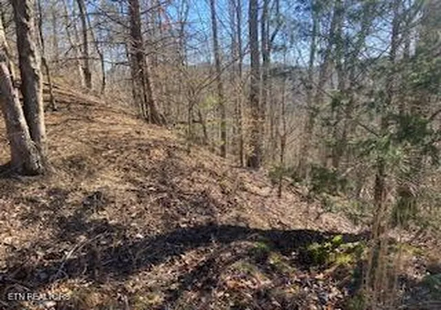 12th image of Lot 875 Clearwater Rd, New Tazewell, TN 37825 | MLS# 1345438