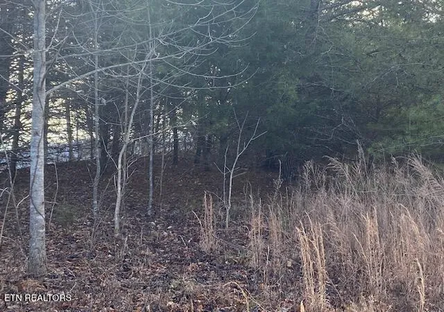 3rd image of Lot 875 Clearwater Rd, New Tazewell, TN 37825 | MLS# 1345438