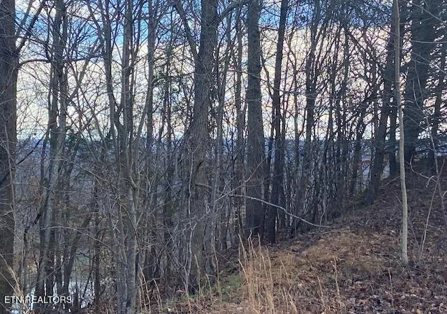 4th image of Lot 875 Clearwater Rd, New Tazewell, TN 37825 | MLS# 1345438