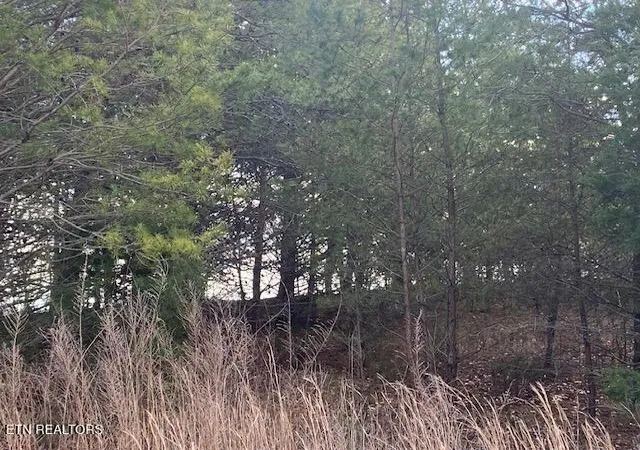 5th image of Lot 875 Clearwater Rd, New Tazewell, TN 37825 | MLS# 1345438