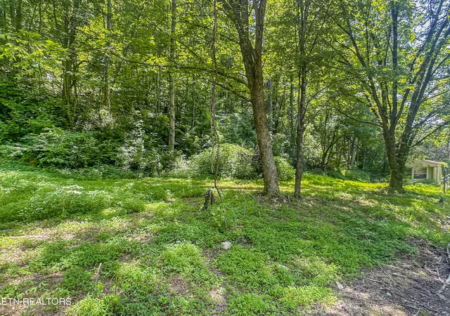 1st image of 9109 Pickens Gap Rd, Knoxville, TN 37920 | MLS# 1345636