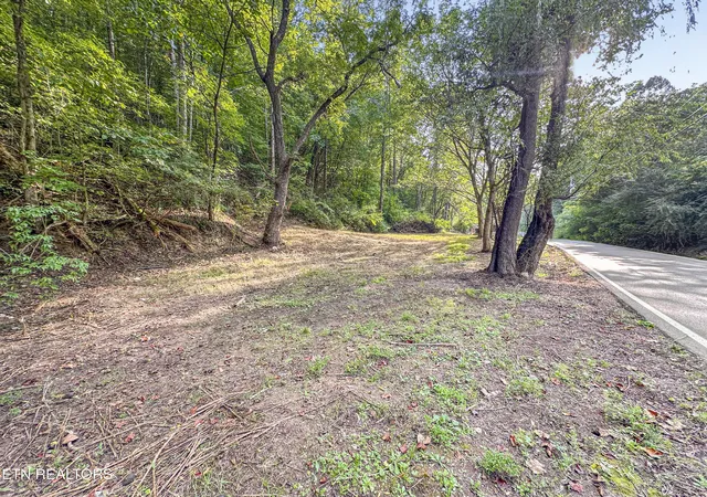 Land for sale at 9109 Pickens Gap Rd, Knoxville, TN 37920 | MLS# 1345636