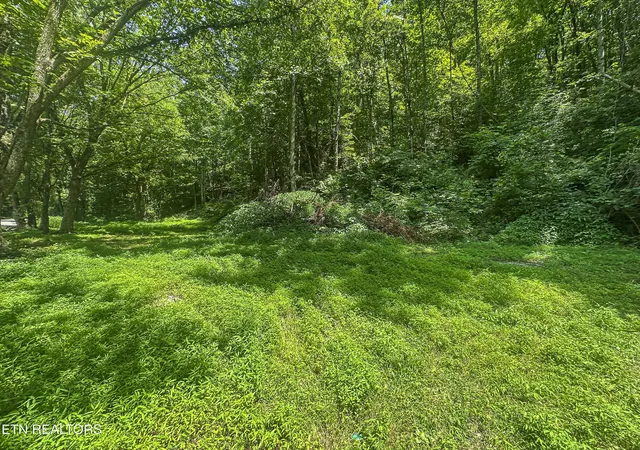 2nd image of 9109 Pickens Gap Rd, Knoxville, TN 37920 | MLS# 1345636