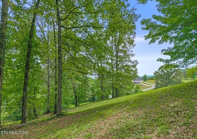 Homes for sale in Madisonville, TN | Springwater Run #lot 34, Madisonville, TN 37354 | MLS# 1345487