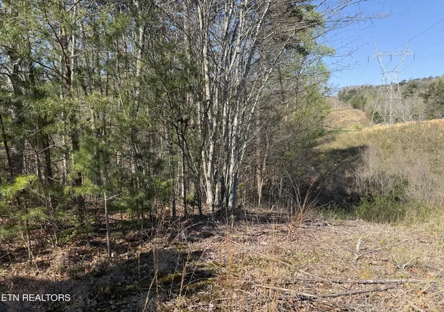 Homes for sale in Tellico Plains, TN | 13320 New Hwy 68 #N/A, Tellico Plains, TN 37385 | MLS# 1345506