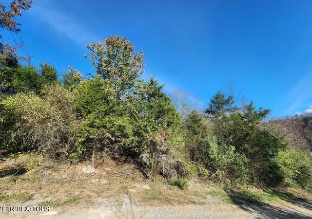 Homes for sale in Pennington Gap, VA | 0 Shuler Dr, Pennington Gap, VA 24277 | MLS# 1345493