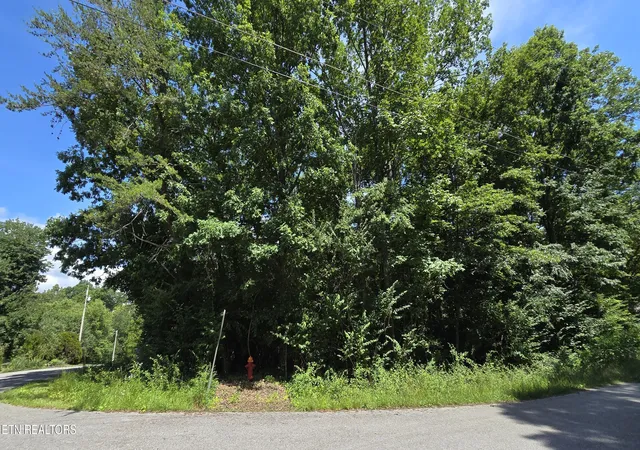 Photo 2 of Land for sale at 200 Rhododendron Cir, Crossville, TN 38555 | MLS# 1345522 | Listing updated on 2026-09-16