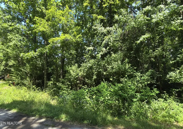 Photo 3 of Land for sale at 200 Rhododendron Cir, Crossville, TN 38555 | MLS# 1345522 | Listing updated on 2026-09-16
