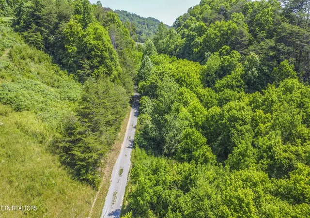 Homes for sale in Maynardville, TN | Ousley Gap Rd #Tract 1, Maynardville, TN 37807 | MLS# 1345576