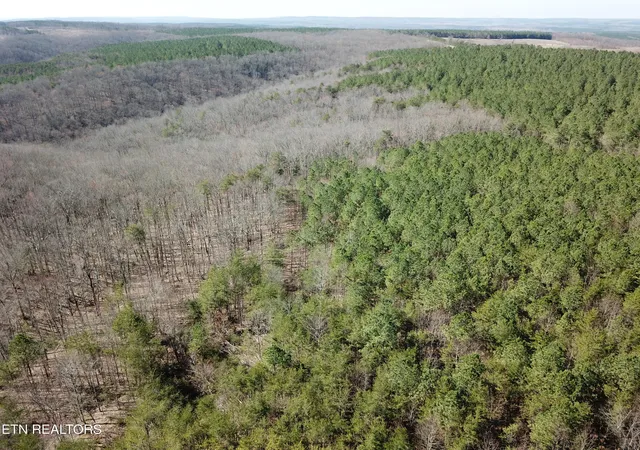 Photo 3 of Land for sale at Buckridge Rd, Crossville, TN 38572 | MLS# 1345550 | Listing updated on 2026-06-22