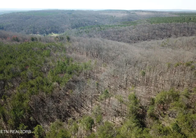 Photo 3 of Land for sale at Buckridge Rd, Crossville, TN 38572 | MLS# 1345550 | Listing updated on 2026-06-22