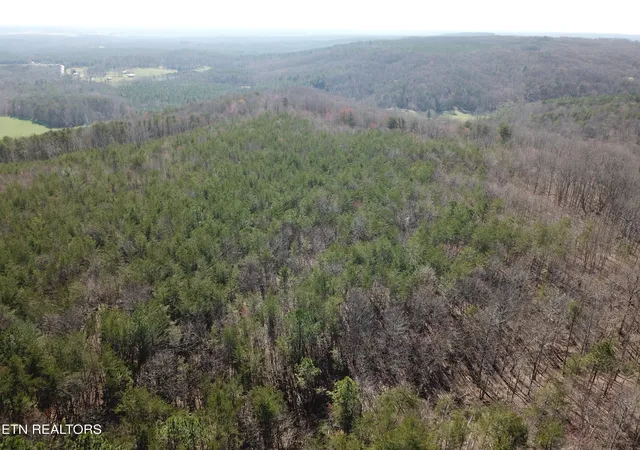 Photo 4 of Land for sale at Buckridge Rd, Crossville, TN 38572 | MLS# 1345550 | Listing updated on 2026-06-22