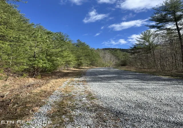 Homes for sale in Del Rio, TN | Cougar Trail Lot 17 208Ac Tr, Del Rio, TN 37727 | MLS# 1345566