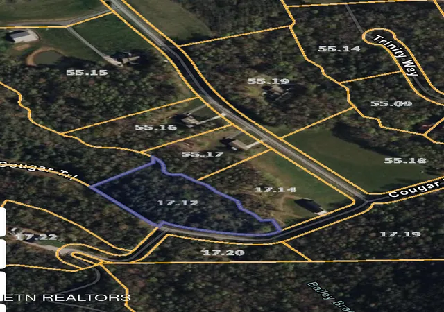Homes for sale in Del Rio, TN | Cougar Trail Lot 17 208ac Tr, Del Rio, TN 37727 | MLS# 1345566